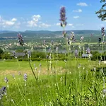 Dog Hill * Dunabogdány