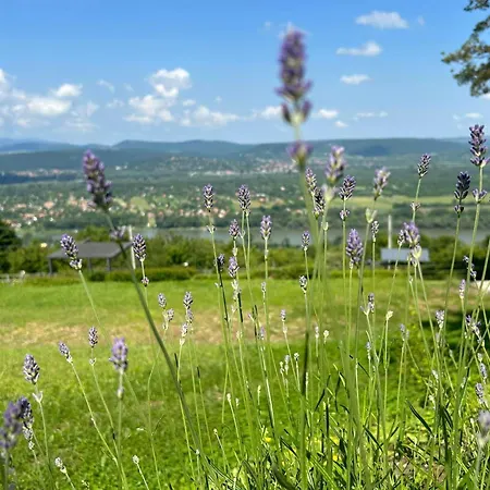 Dog Hill * Dunabogdány